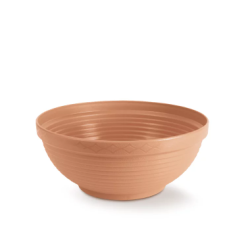 Taça Misa