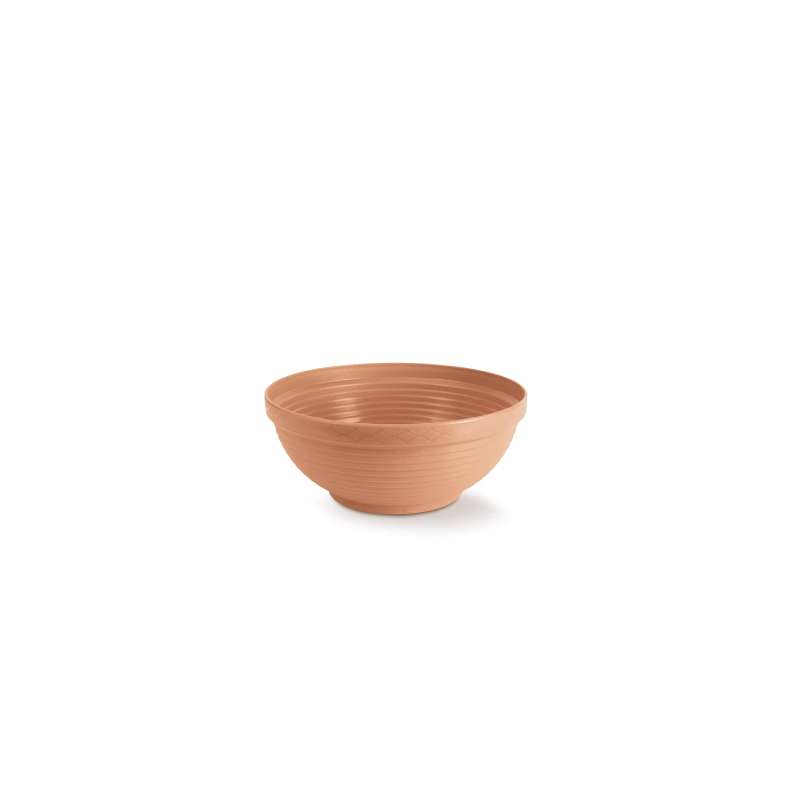 Taça Misa