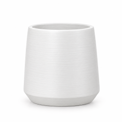 Vaso Alice
