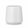 Vaso Alice