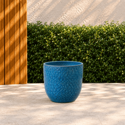 Vaso Cidade