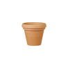 Vaso Doppio Bordo Trp