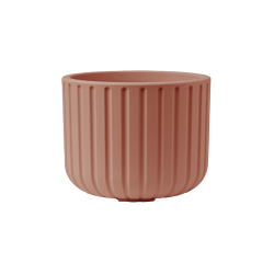Vaso Echo