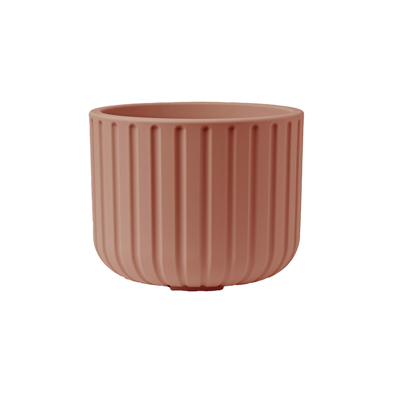 Vaso Echo