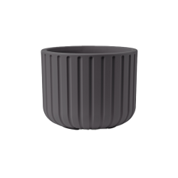 Vaso Echo