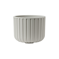 Vaso Echo