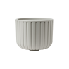 Vaso Echo