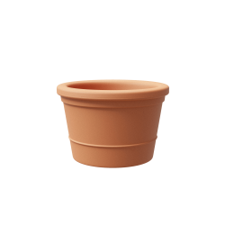 Vaso Eos