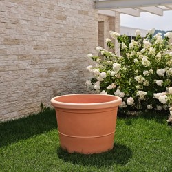 Vaso Eos