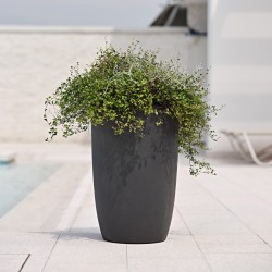 Vaso Meti