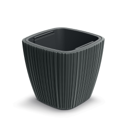 Vaso Quadrado Baixo Oro