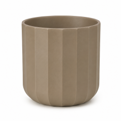 Vaso Santana