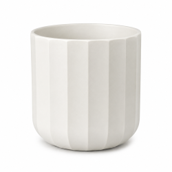 Vaso Santana
