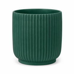Vaso Avis