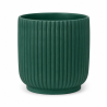 Vaso Avis