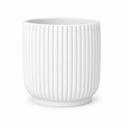 Vaso Avis