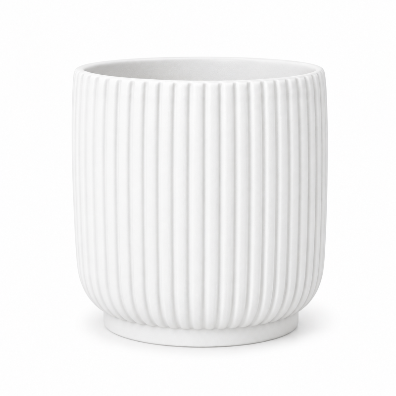 Vaso Avis