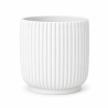 Vaso Avis
