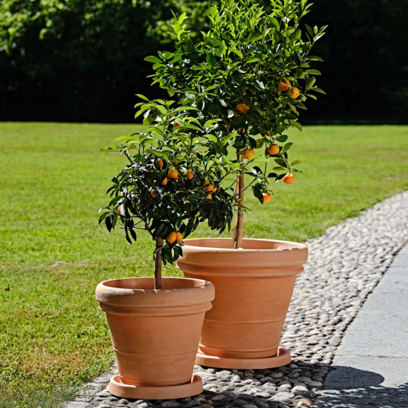 Vaso Doppio Bordo Trp