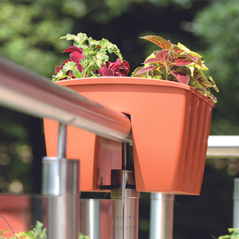 Vaso Crown Flower Bridge