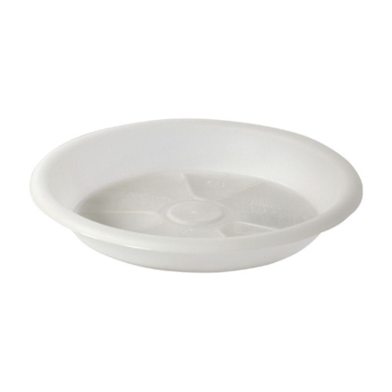 Prato Orquídea Alabastro