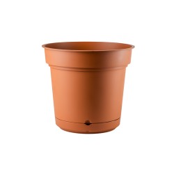 Vaso Hydral