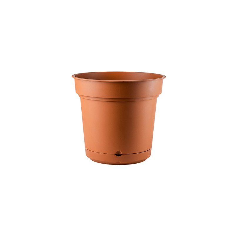 Vaso Hydral