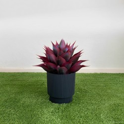 Vaso Redondo Dmin Milly