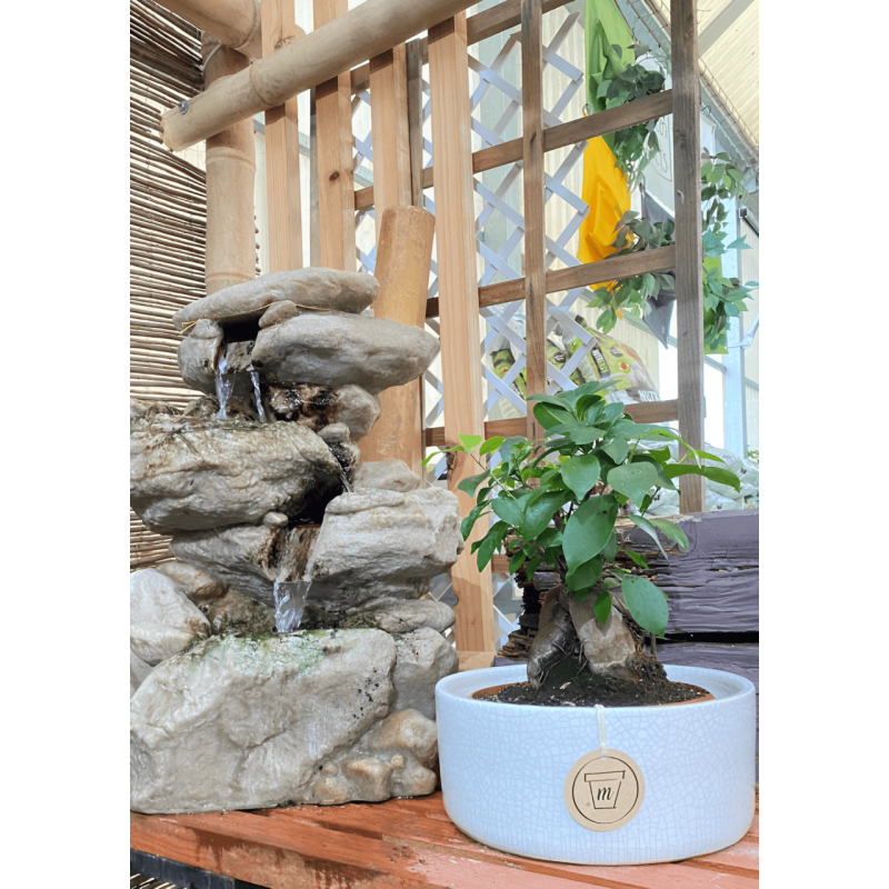 Taça Cerâmica Melis