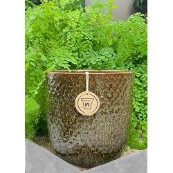 Vaso Cidade