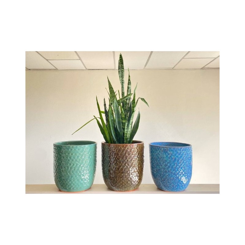 Vaso Cidade