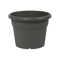 Vaso Cilindro Única