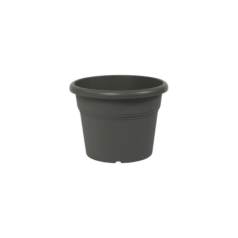 Vaso Cilindro Única